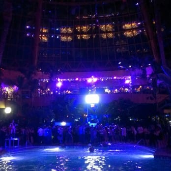 The Pool After Dark - Dance Clubs Near Me - Atlantic City, New Jersey The Pool After Dark - Dance Clubs Near Me - Atlantic City, New Jersey
