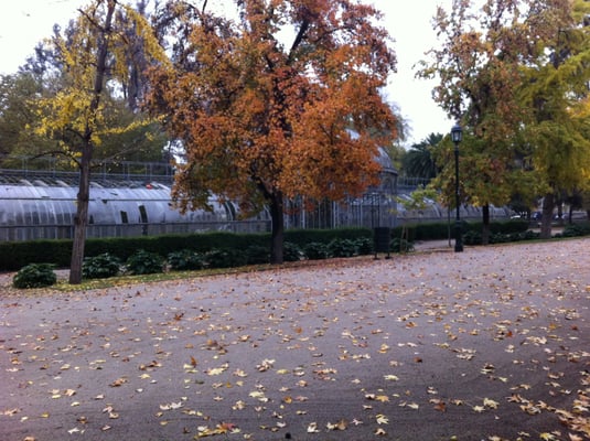 Parque Quinta Normal by null