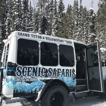 Scenic Safaris - Tours Near Me - Jackson, Wyoming Scenic Safaris - Tours Near Me - Jackson, Wyoming