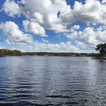 Red Bird Cottage and Farm - Beautiful lake Seneca - Animal Assisted Therapy Near Me
