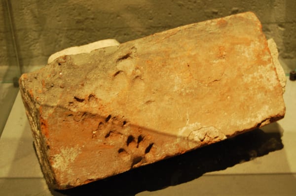 Christiansborg Palace by null