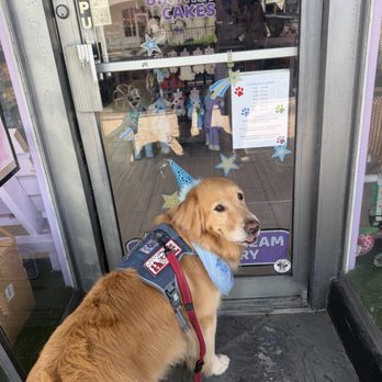 Scoopy Doos - Pet Stores Near Me - Delray Beach, Florida