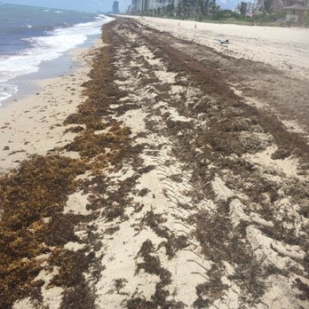 Hollywood Beach - Looking South on Hollywood Beach - Beaches Near Me - Hollywood, Florida