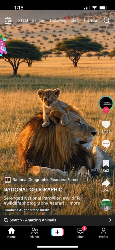 Slide of Carl Krasavage & Son