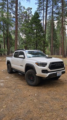 Whitfield's Auto Licensing