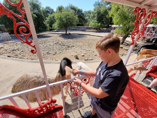 Wonder World Cave & Adventure Park by null