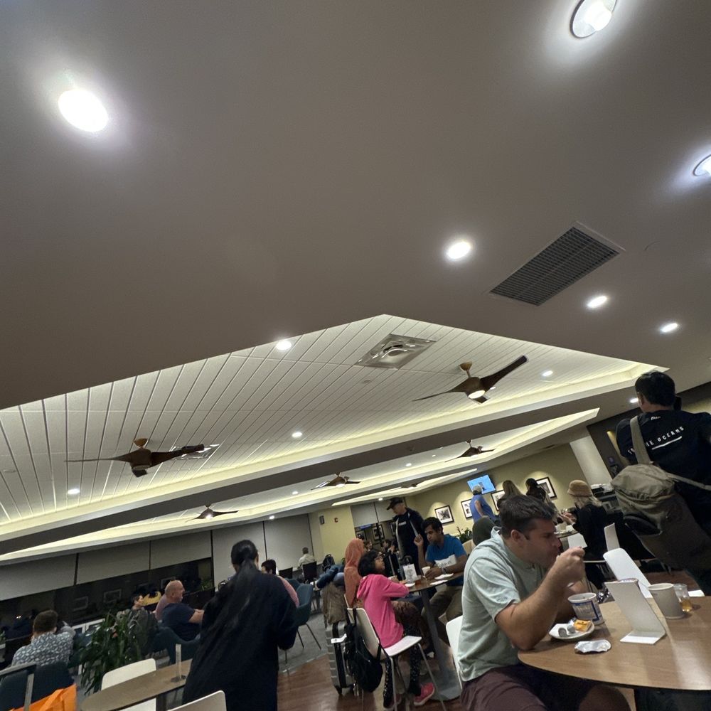 The Plumeria Lounge - Busy place - Airport Lounges Near Me - Honolulu, Hawaii The Plumeria Lounge - Busy place - Airport Lounges Near Me - Honolulu, Hawaii