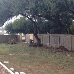 Had trees trimmed - fence panel removed - absolute mess in that corner.