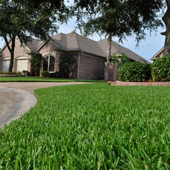 Horticare Landscape Management - Perfect green grass from our residential landscaping in League City TX - Landscaping Near Me - Alvin, Texas Horticare Landscape Management - Perfect green grass from our residential landscaping in League City TX - Landscaping Near Me - Alvin, Texas