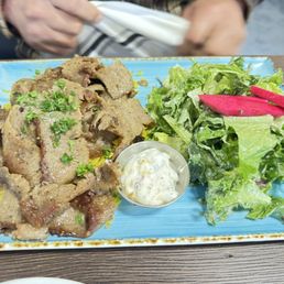 Gyro Plate Gyro Plate