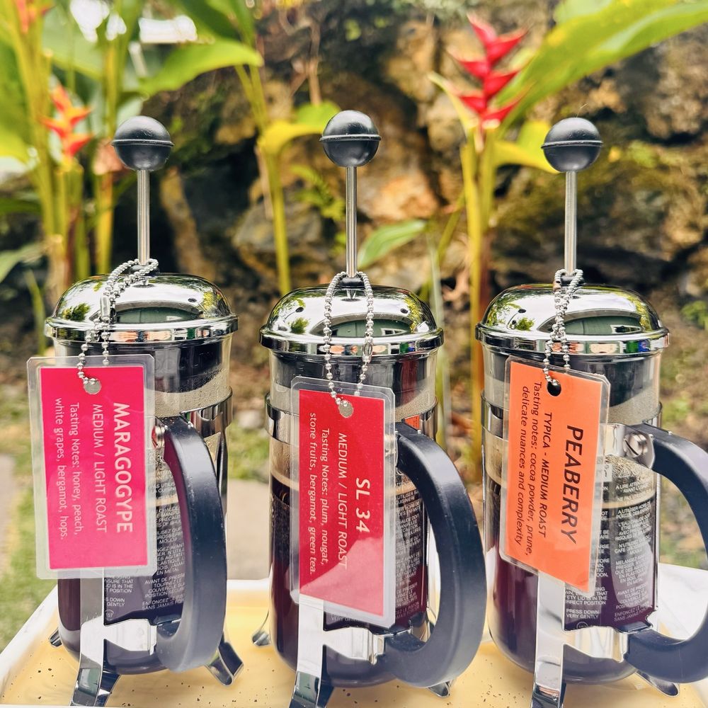 Hala Tree Coffee - Tasting medium-light batch - Attraction Farms Near Me - Captain Cook, Hawaii Hala Tree Coffee - Tasting medium-light batch - Attraction Farms Near Me - Captain Cook, Hawaii