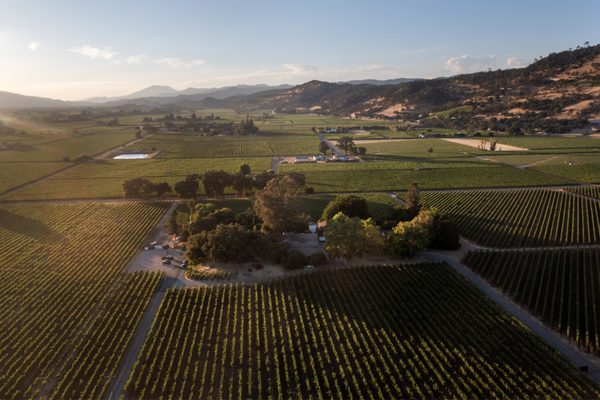 PlumpJack Estate Winery by null