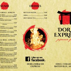 Dora Express Japanese Food