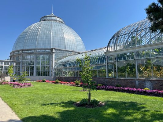 Anna Scripps Whitcomb Conservatory by null