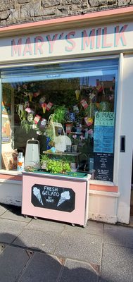 Mary's Milk Bar by null
