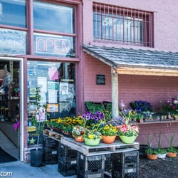 Pioneer Market - Pioneer Market