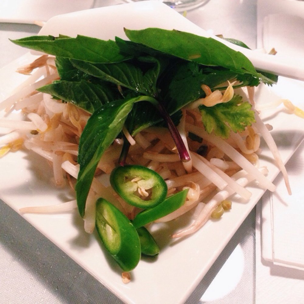 Cre-Asian - Noodle soup fixings: bean sprouts, jalapeños, basil leaves, and lime (hidden in the back) - Vietnamese Near Me - South Bend, Indiana Cre-Asian - Noodle soup fixings: bean sprouts, jalapeños, basil leaves, and lime (hidden in the back) - Vietnamese Near Me - South Bend, Indiana
