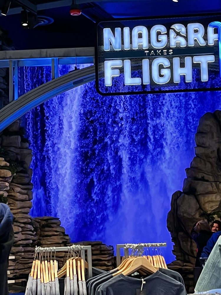 Niagara Takes Flight Logo