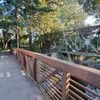 El Palo Alto Park gift card