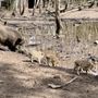 Photo of Wildpark Eekholt