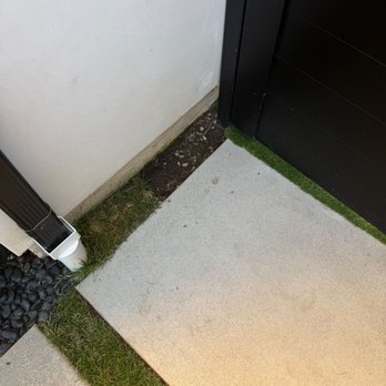 Wild Landscape - Lawn Services Near Me