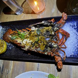 Parole Tulum - Lobster