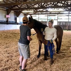 Young Hearts Therapeutic Riding - Equine therapy lesson