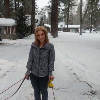 Grey Squirrel Resort & Vacation Rental Homes - Taking dogs for a walk in the snow - Big Bear Lake, CA