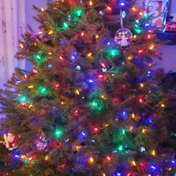 Charlie Browns Christmas Tree Farm - Not finished yet but perfect tree fresh off the Charlie Brown's Christmas Tree Farm..