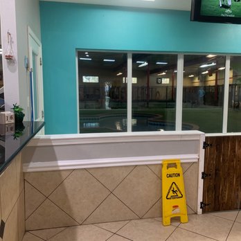 Pet Paradise Tallahassee - This place looks awesome! - Pet Training Near Me - Tallahassee, Florida Pet Paradise Tallahassee - This place looks awesome! - Pet Training Near Me - Tallahassee, Florida