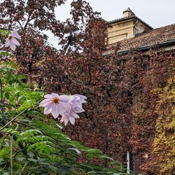 Orto Botanico