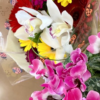 Trader Joe's - Beautiful bouquet ($9.99) and Potted flower plant ($5.99) from Trader Joe's on National Cancer Survivors Day! - Grocery Near Me - Henderson, Nevada