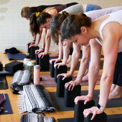 The Yoga Garden - Using props to work on the details of each pose.