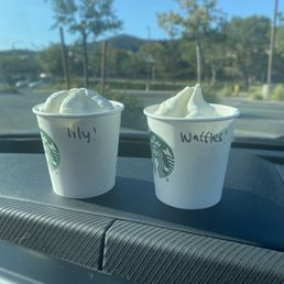 Personalized Pup Cups. Personalized Pup Cups.