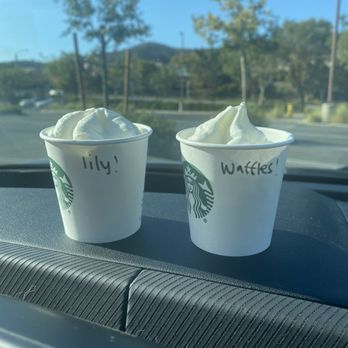 Starbucks - Personalized Pup Cups. - Coffee & Tea Near Me - Corona, California Starbucks - Personalized Pup Cups. - Coffee & Tea Near Me - Corona, California