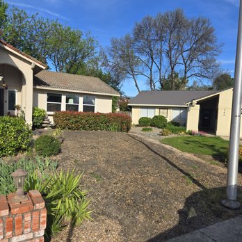 Eddy's Tree Service - Yard afterward. - Tree Services Near Me