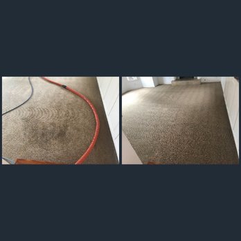 Dr. Carpet - Tough urine are no match for Dr. Carpet. - Carpet Cleaning Near Me - Dana Point, California