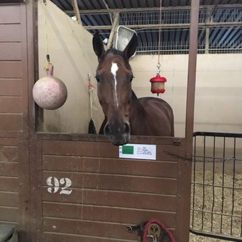 Blackforest Farms - The horses are so well taken care of! - Horseback Riding Near Me - Burbank, California Blackforest Farms - The horses are so well taken care of! - Horseback Riding Near Me - Burbank, California