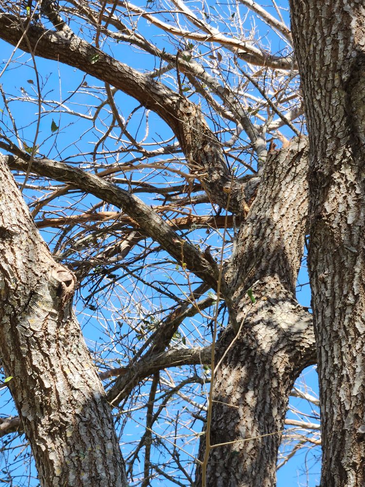 Slide of Greenbelt by Chdo