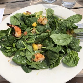 Daedalus Restaurant - Lunch special, shrimp, mango salsa, and avocado salad on spinach - Pubs Near Me - Cambridge, Massachusetts Daedalus Restaurant - Lunch special, shrimp, mango salsa, and avocado salad on spinach - Pubs Near Me - Cambridge, Massachusetts