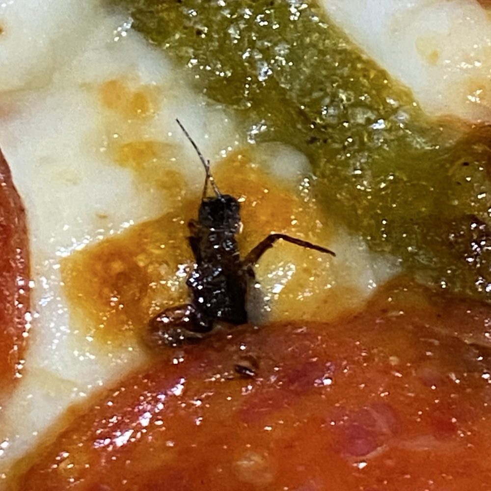 Pizza Hut - Would you serve this to a person? - Pizza Near Me - Washington, Iowa Pizza Hut - Would you serve this to a person? - Pizza Near Me - Washington, Iowa