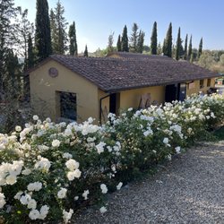 Azienda Agricola Ottomani - Tasting room and barrel room