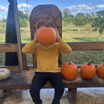 Showcase of Citrus - Attraction Farms Near Me - Clermont, Florida