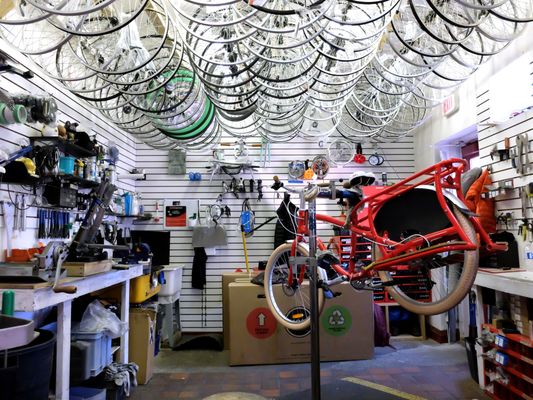 Velotique by null