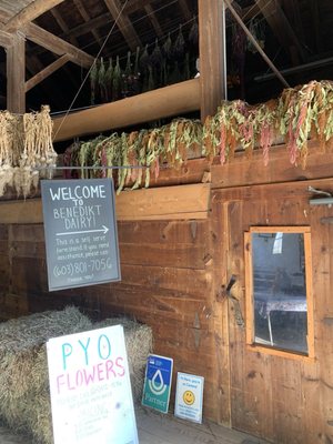 Benedikt Dairy by null