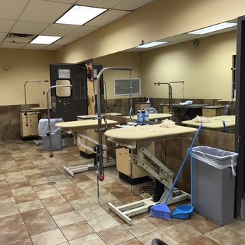 PetSmart - No one is here and the tables are left filthy with previous dogs' hair. So gross! - Pet Stores Near Me - Mcallen, Texas