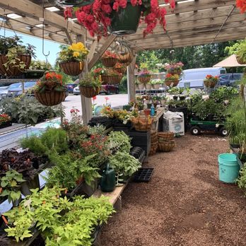Matlack Florist - Florists Near Me - West Chester, Pennsylvania