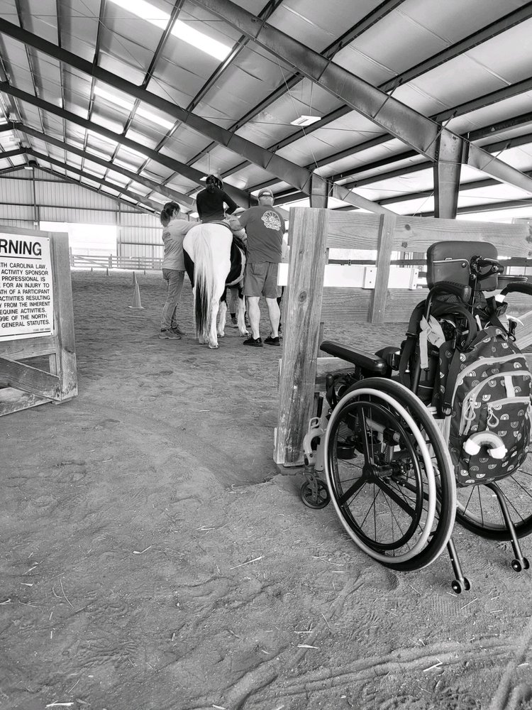 Horsepower Therapeutic Learning Center - social services organization in High Point, NC
