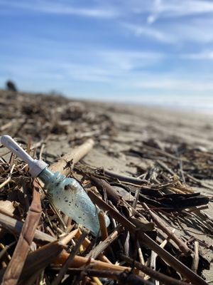 Huntington State Beach by null