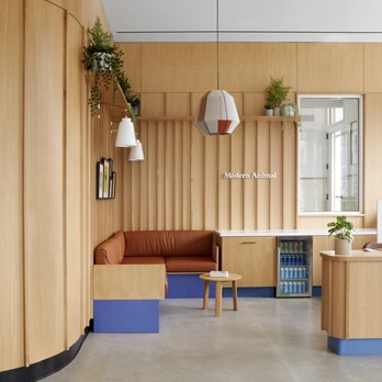 Modern Animal NOPA - Veterinarians Near Me - San Francisco, California Modern Animal NOPA - Veterinarians Near Me - San Francisco, California